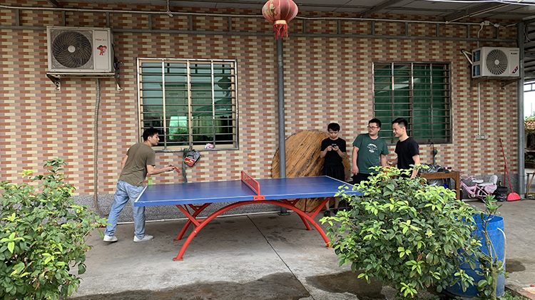 play table tennis