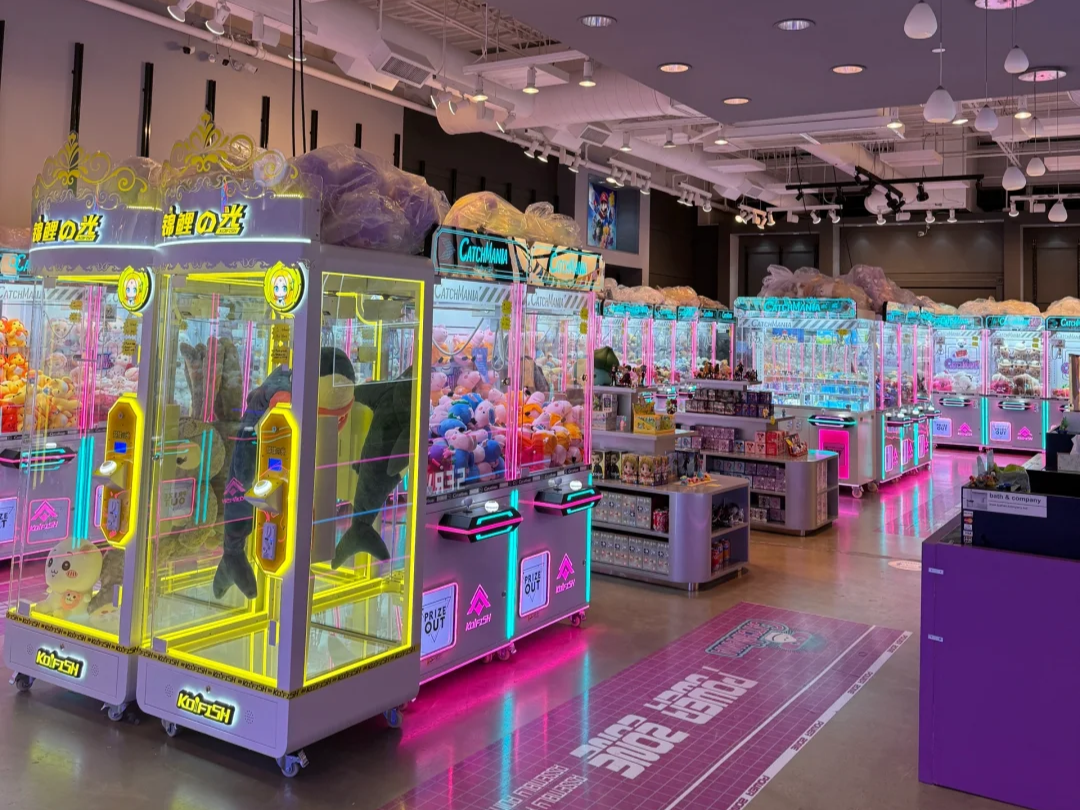 amusement management system